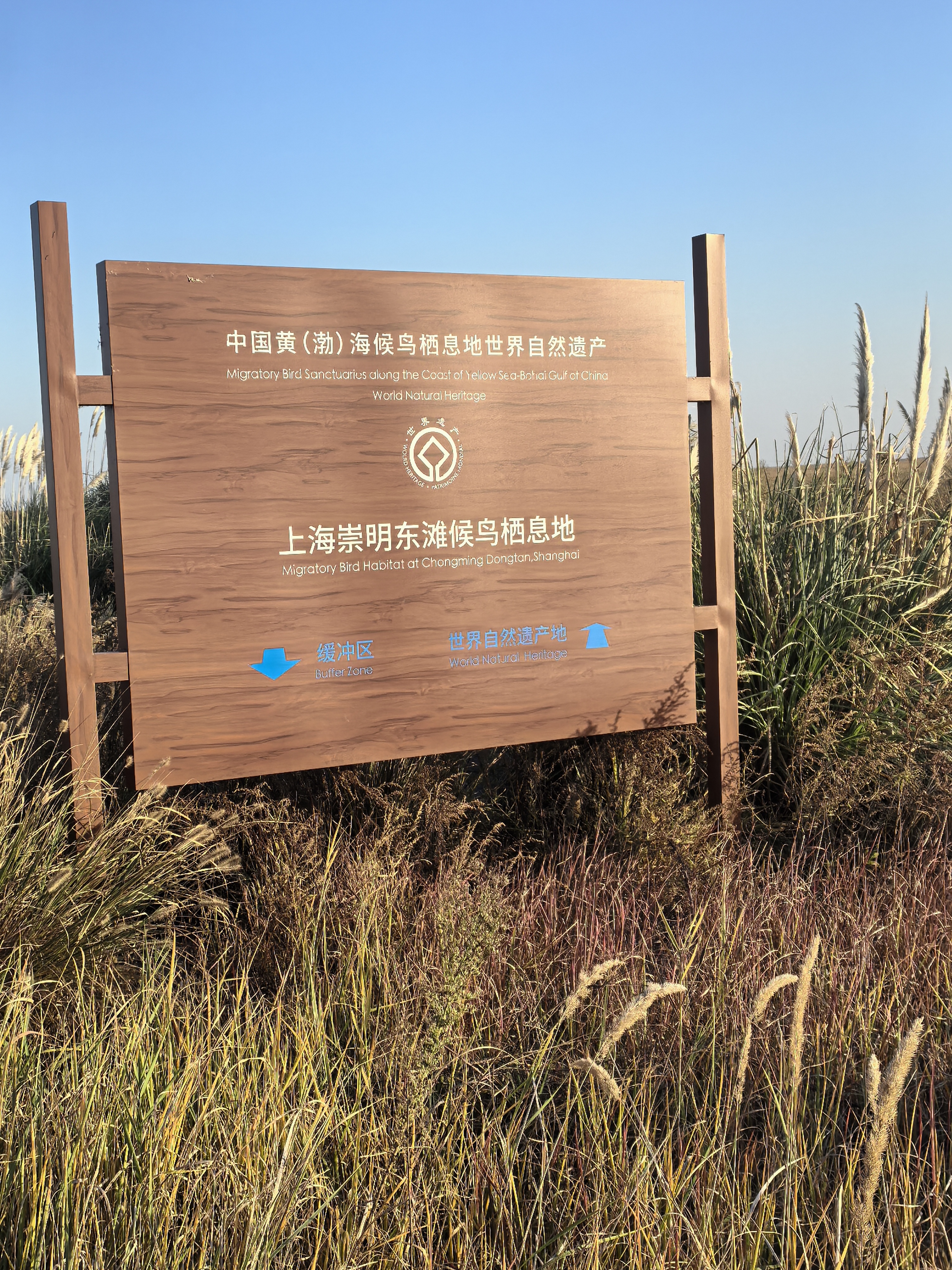 鷹米自助租賃柜走紅文旅圈：崇明島觀鳥場景破局，解鎖智能講解新體驗<